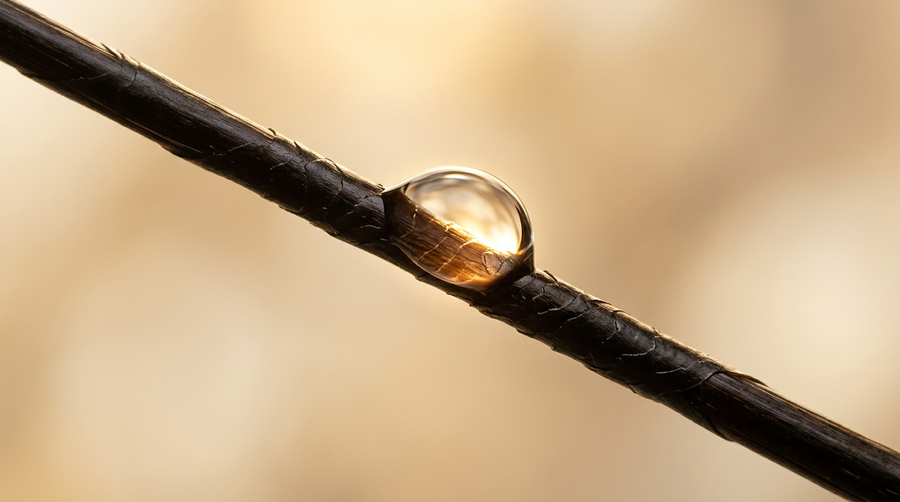 Goutte d'eau cristalline sur une fibre capillaire en macro, illustration du test de porosité des cheveux